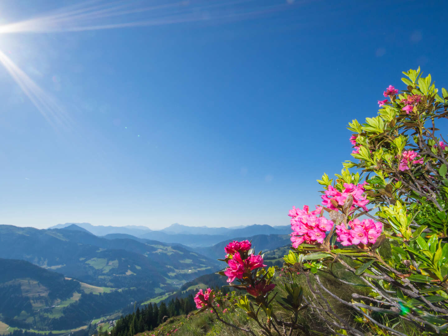 Aktive Tage in Tirol - Wildschönau | 7 Nächte