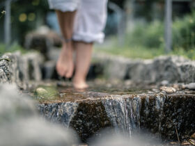 Entdeckertage inkl. Vollpension in OÖ ersten Wanderdorf | 6 Nächte   