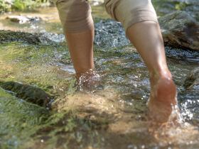 Entdeckertage inkl. Vollpension in OÖ ersten Wanderdorf | 6 Nächte   