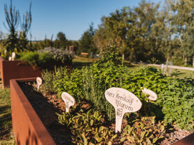 Entdeckertage inkl. Vollpension in OÖ ersten Wanderdorf | 6 Nächte   