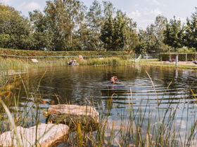Entdeckertage inkl. Vollpension in OÖ ersten Wanderdorf | 6 Nächte   