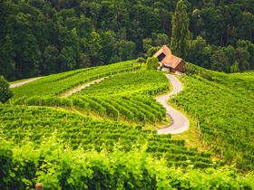 Wellnessauszeit in Maribor inkl. Massage | 2 Nächte