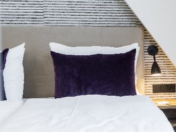 Küstenkörnchen im Appartement