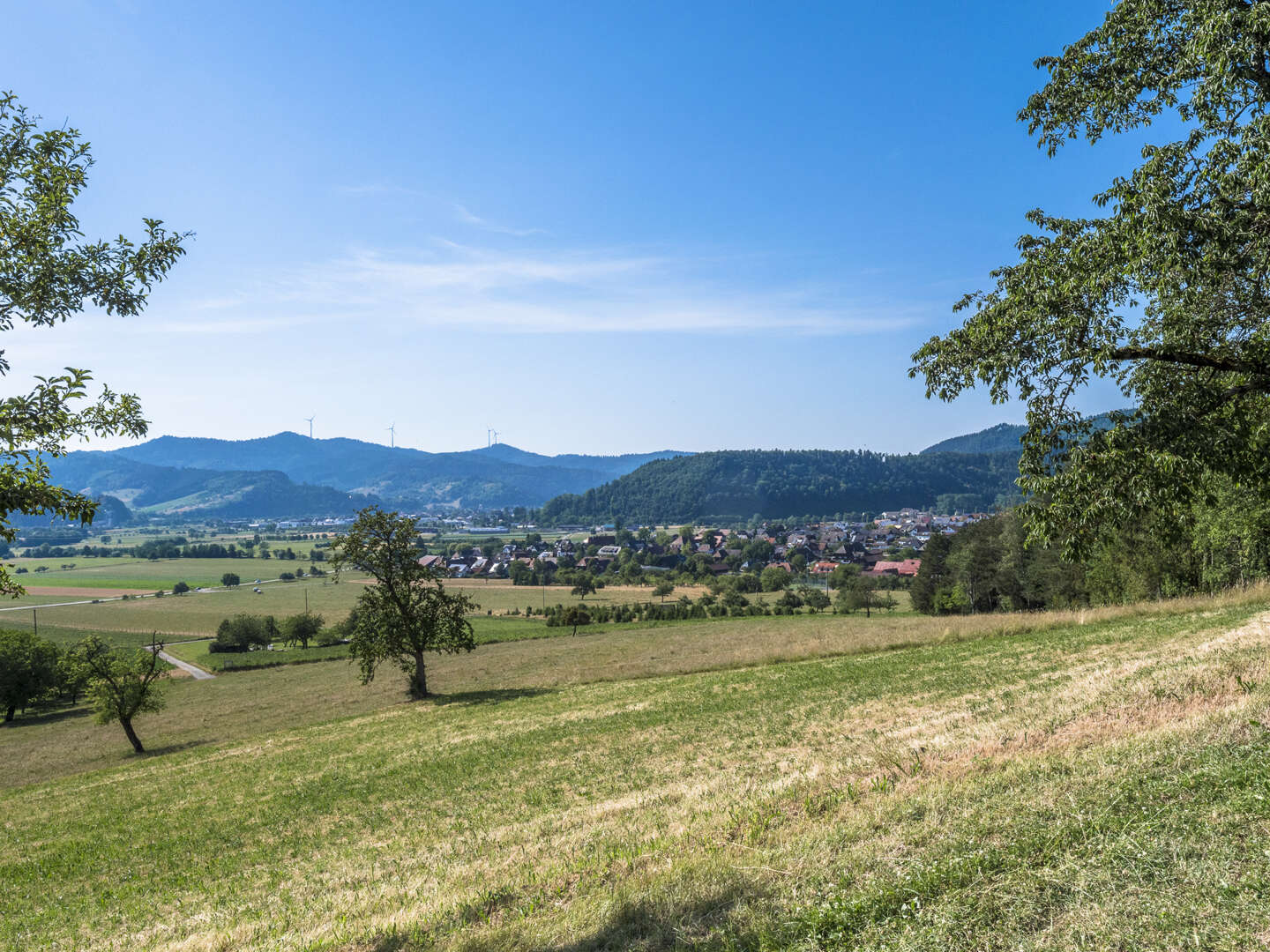 Weihnachten im Schwarzwald
