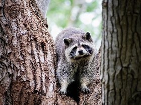 Bergluft & Genusswandern- 5 Tage in Altenberg inkl. Abendessen 