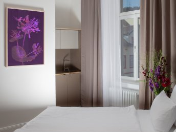 Neckargemünd - Auf den Spuren der Stadtgeschichte - 5 Tage