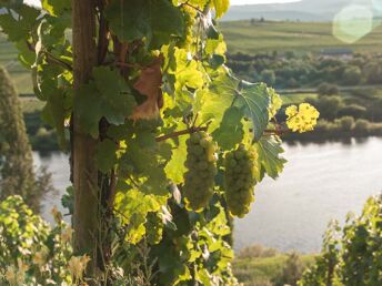Kurzurlaub - den gönn ich mir an der Mosel inkl. Abendessen