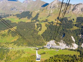 Frühjahr - Sommer - Herbstgenuss im Kleinwalsertal