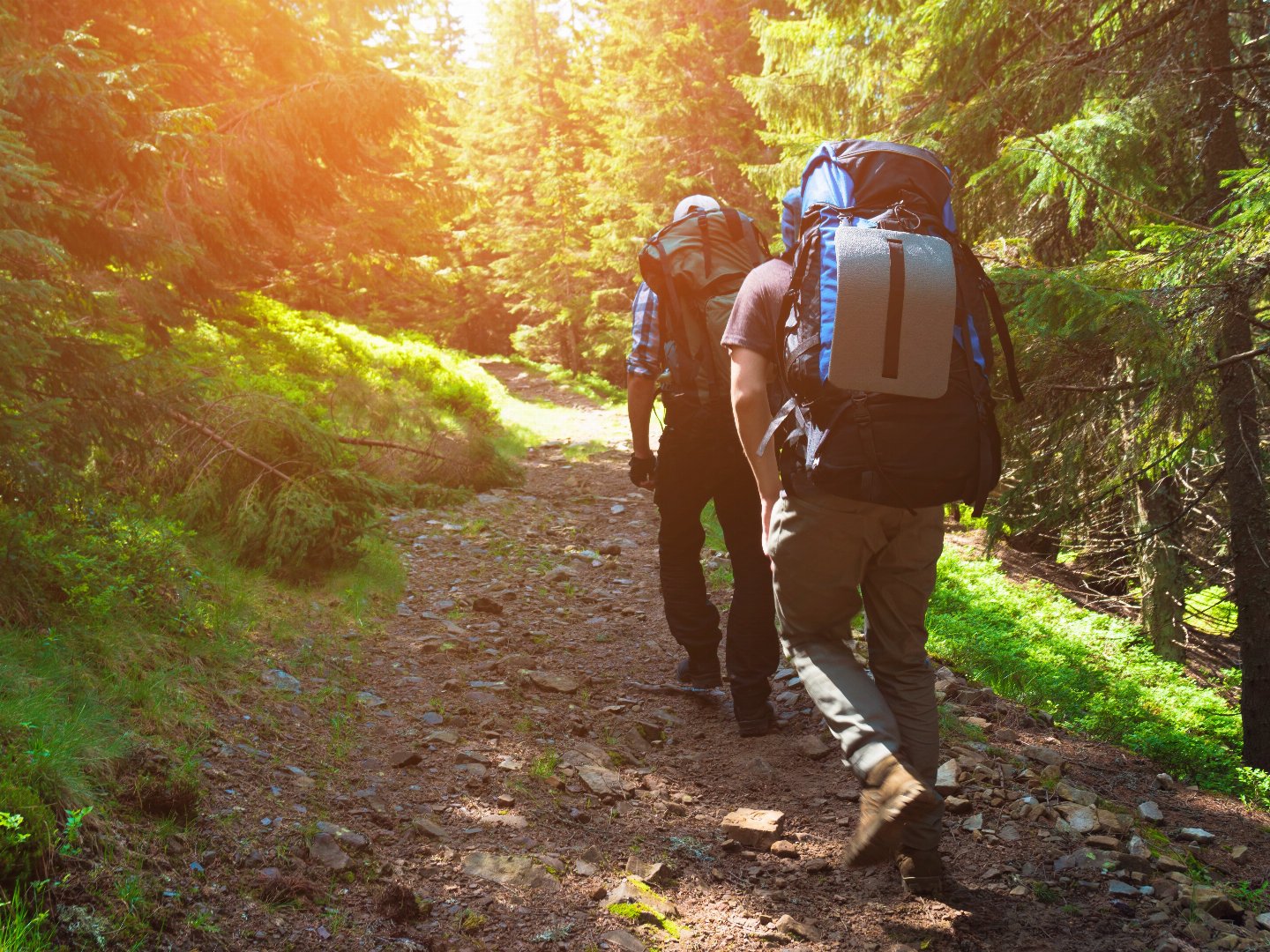 Naturerlebnis-Wanderwochenende in Detmold und im Teutoburger Wald