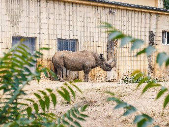Kelsterbacher Zoo-Abenteuer: Natur & Stadt vereint inkl. 3-Gang Menu | 2 Tage
