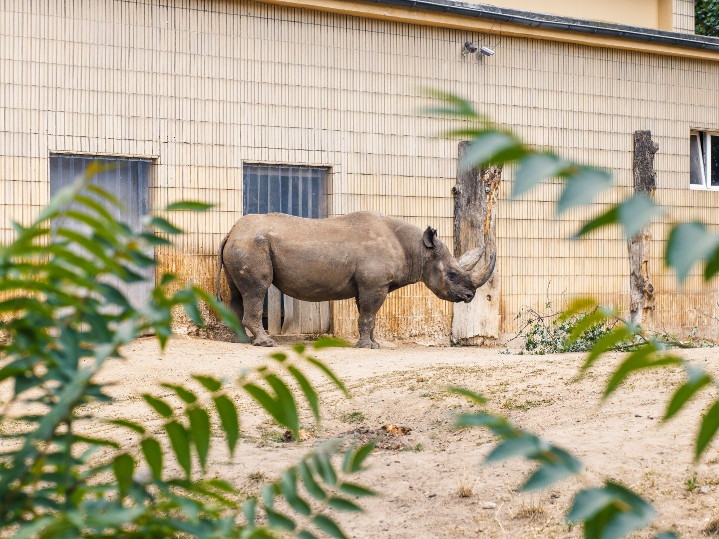 Kelsterbacher Zoo-Abenteuer: Natur & Stadt vereint inkl. 3-Gang Menu | 2 Tage