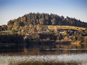 Aktivurlaub mit Genuss - Golf, Wine & Dine am Längsee | 2 Nächte
