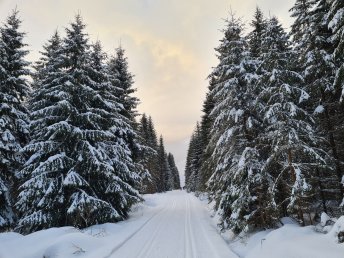 3 Tage Vogtländer Kennenlernschnäppchen inkl. Halbpension plus