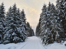 3 Tage Vogtländer Kennenlernschnäppchen inkl. Halbpension plus