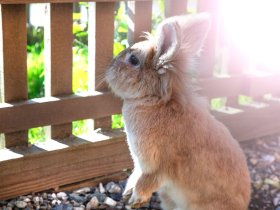 Bergauszeit in der Region Nassfeld-Weißensee | 5 Nächte