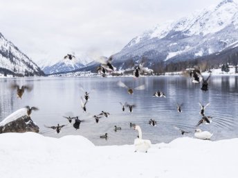 Grundlsee-Idylle zu jeder Jahreszeit – Ihr Wohlfühlurlaub im Salzkammergut | 2 Nächte