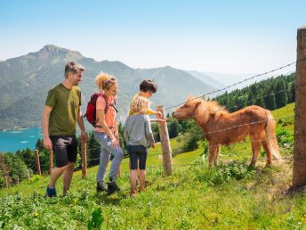 See-Idylle zu jeder Jahreszeit – Ihr Wohlfühlurlaub im Salzkammergut I 6 Nächte Grundlsee 