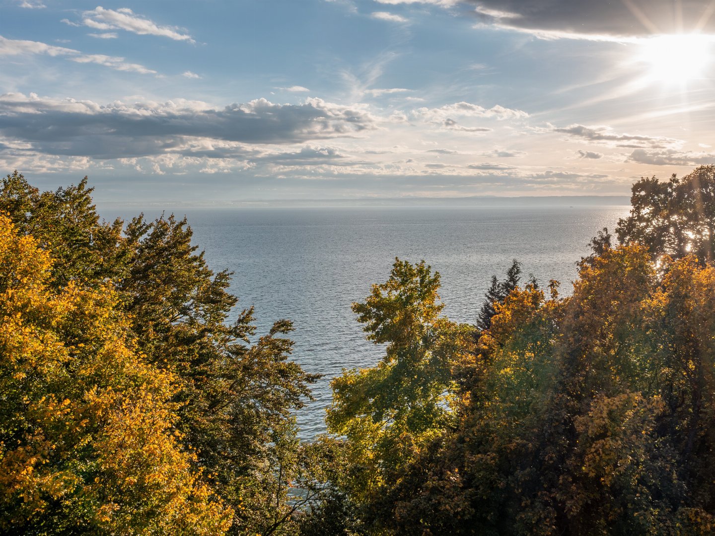 Natur und Genuss am See
