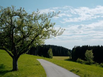 Kulinarische Reise ins Allgäu mit Wellness