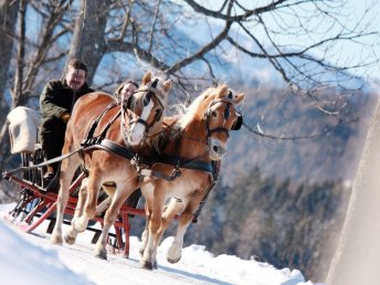 Natur, Spaß und Erholung im Mariazellerland: Familienurlaub im JUFA Hotel Annaberg***s I 4 Nächte