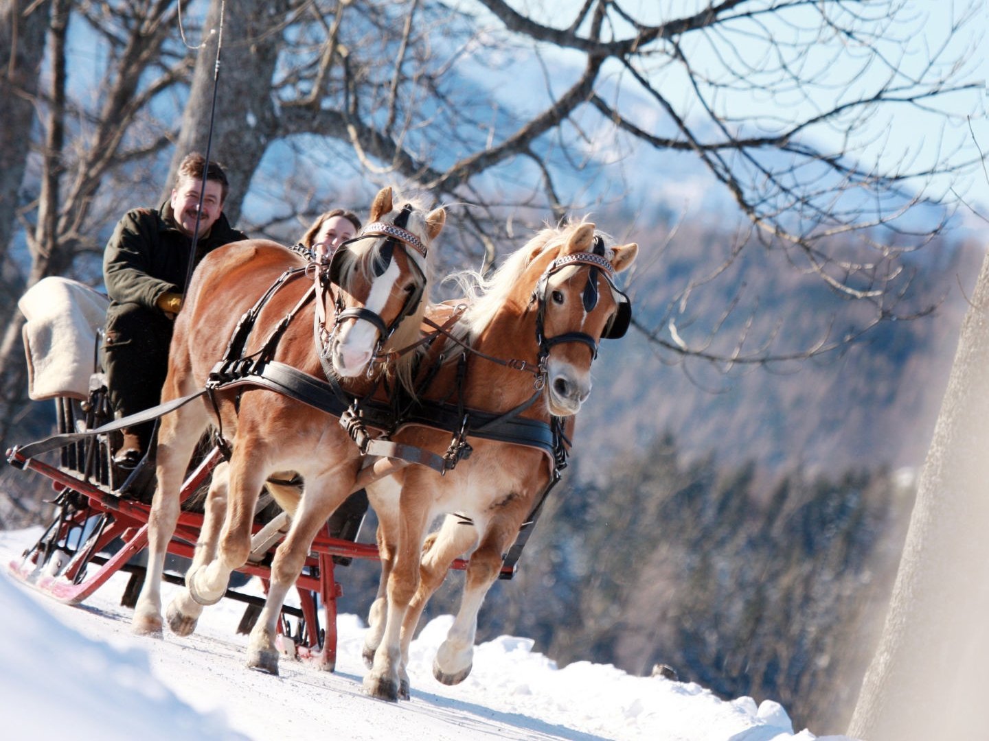 Natur, Spaß und Erholung im Mariazellerland: Familienurlaub im JUFA Hotel Annaberg***s I 4 Nächte