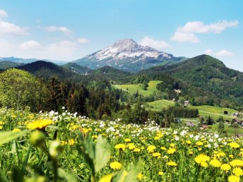 Natur, Spaß und Erholung im Mariazellerland: Familienurlaub im JUFA Hotel Annaberg***s I 4 Nächte