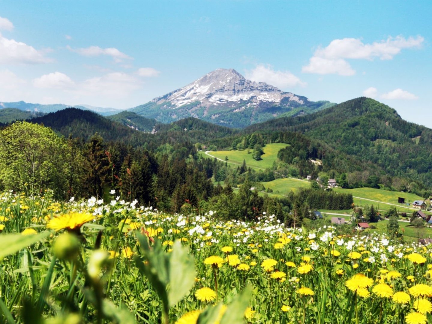 Natur, Spaß und Erholung im Mariazellerland: Familienurlaub im JUFA Hotel Annaberg***s I 4 Nächte