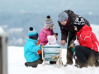 Natur, Spaß und Erholung im Mariazellerland: Familienurlaub im JUFA Hotel Annaberg***s I 4 Nächte