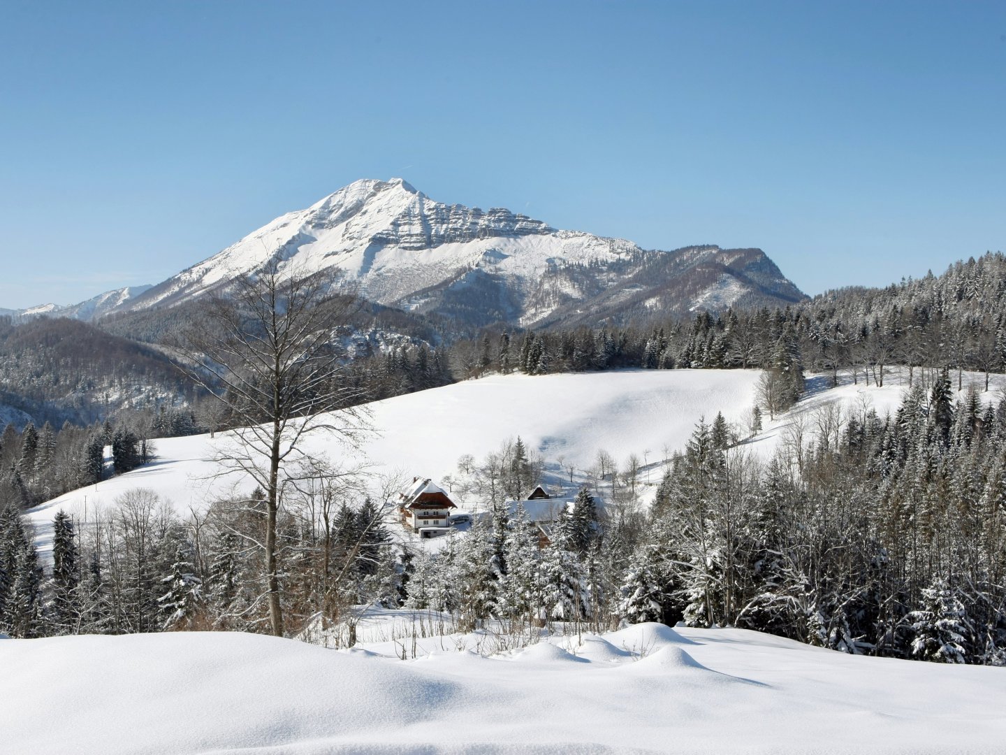 Natur, Spaß und Erholung im Mariazellerland: Familienurlaub im JUFA Hotel Annaberg***s I 4 Nächte