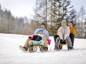 Winterzauber im Ausseerland I 3 Tage