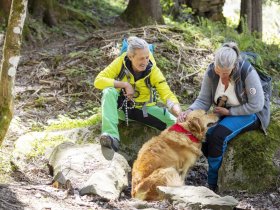 Mit Hund auf Reisen: Altaussee für Zwei- und Vierbeiner I 3 Tage