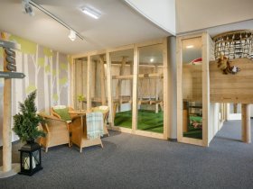 Mariazell – Ein Wallfahrtsort voller Geschichte und Kultur erleben I 4 Tage