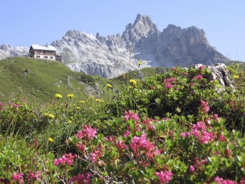 Sommerfrische im Herzen des Lungaus I 2 Nächte