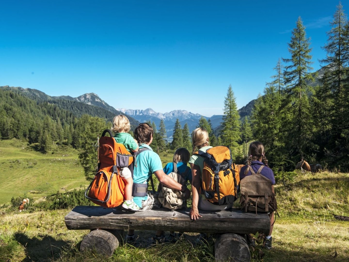 Bergzauber & Wanderlust – Unvergessliche Touren im Wanderparadies Altenmarkt-Zauchensee I 2 Nächte