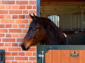 Kurzurlaub mit traditioneller Gutskultur inkl. Abendessen