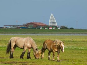 7 Tage Familienurlaub - Auszeit vom Alltag mit der Familie  **mit bis zu 2 Kindern gratis!**  