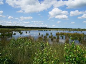 3 Tage Papenburg inkl. Hotel Alte Werft-Burger am ersten Abend