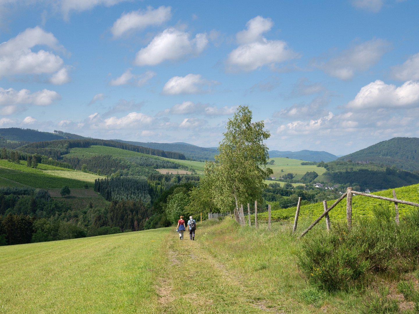 Sauerland Entdecker Trip | 4 Tage