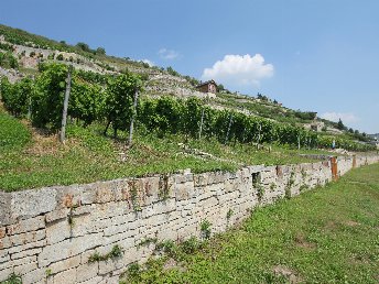 Genießer-Tage im Unstruttal - 3 Tage in Schloss Zingst