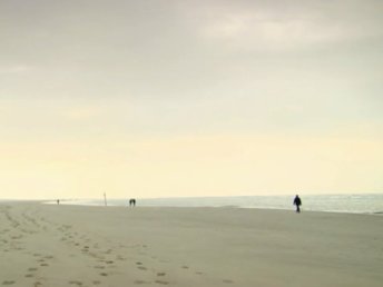 Bild 19 von 19