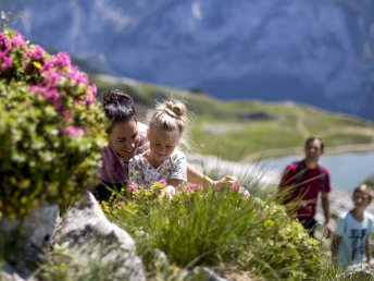 Schladming Herbst Special: -15% & Schladming-Dachstein Sommercard I 3 Tage