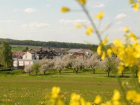 Schwäbisches Weinwochenende