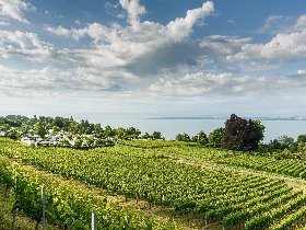 Wohlfühl-Urlaub im Allgäu & der Bodenseeregion im charmantem Boutique-Hotel
