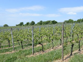 Anti Stress Tage in der Eifel in Bad Bertrich