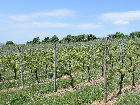 Frühlingsgefühle in Bad Bertrich - Beauty & Wellness in der Eifel