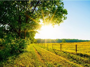Anti Stress Tage in der Eifel in Bad Bertrich