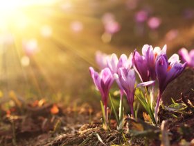 Frühlingsgefühle in Bad Bertrich - Beauty & Wellness in der Eifel