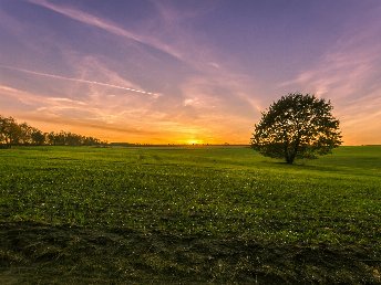 3 Tage Romantische Auszeit vom Alltag im Alten Land bei Hamburg   