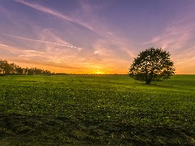 3 Tage Romantische Auszeit im Alten Land bei Hamburg inkl Menü - Nordeuropas größtes Obstanbaugebiet