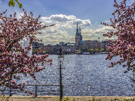 3 Tage Romantische Auszeit im Alten Land bei Hamburg inkl Menü - Nordeuropas größtes Obstanbaugebiet